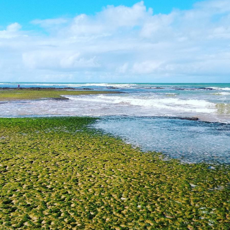Pousada Ilha Do Meio Итасимирим Экстерьер фото